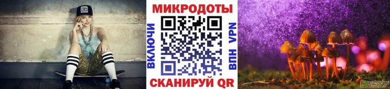 Галлюциногенные грибы Psilocybine cubensis  купить наркоту  дарк нет какой сайт  Урус-Мартан 